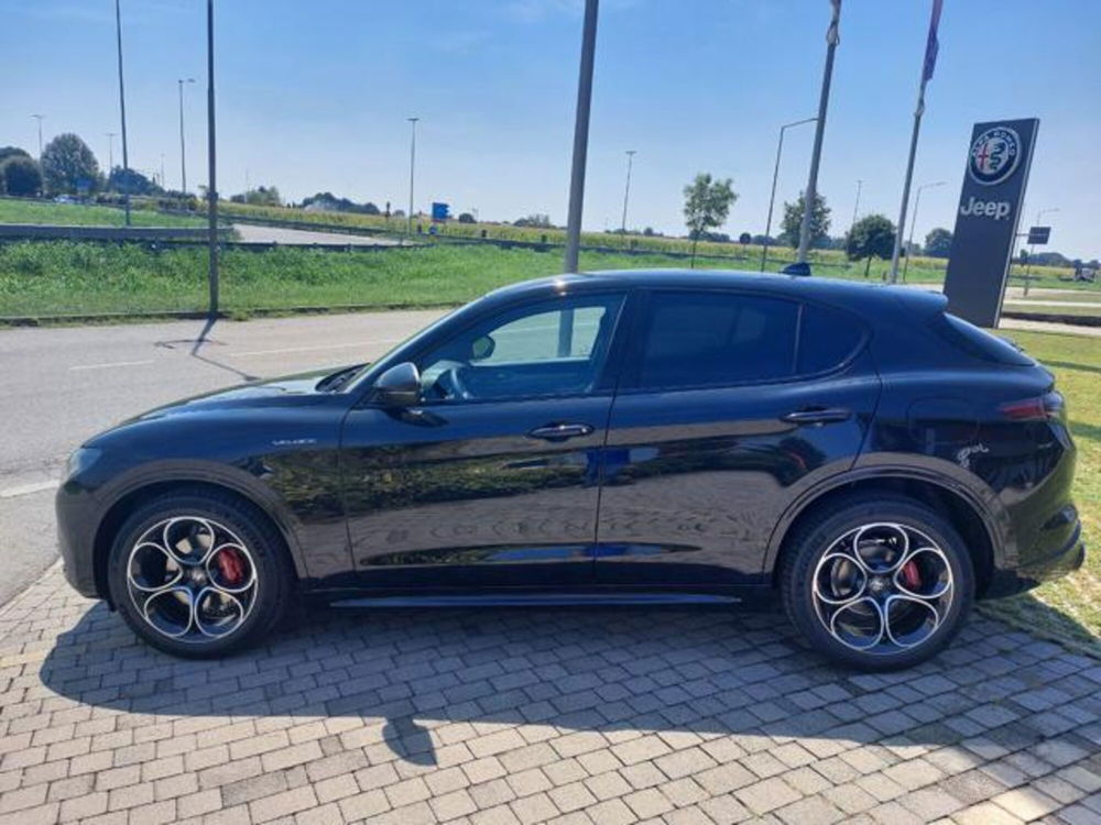 Alfa Romeo Stelvio nuova a Padova (5)