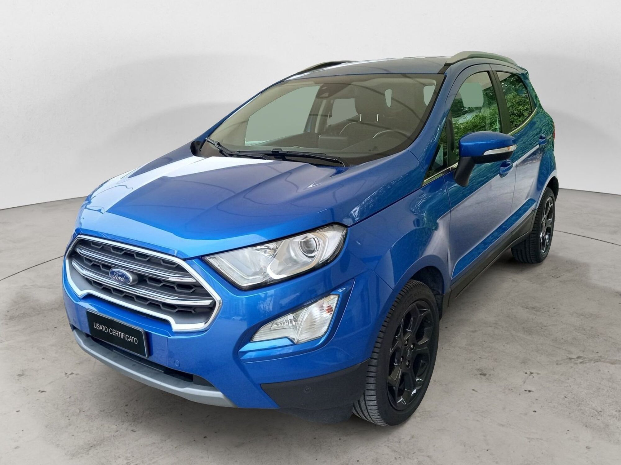 Ford EcoSport 1.0 EcoBoost 125 CV Titanium  del 2020 usata a Bari