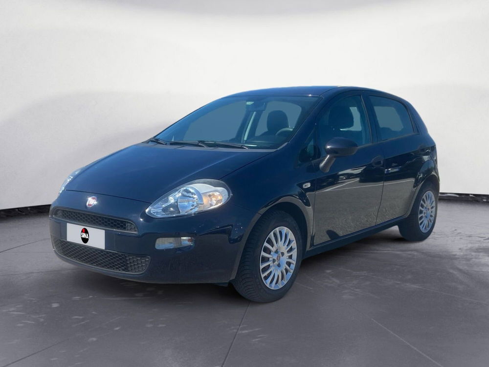 Fiat Punto usata a Pordenone