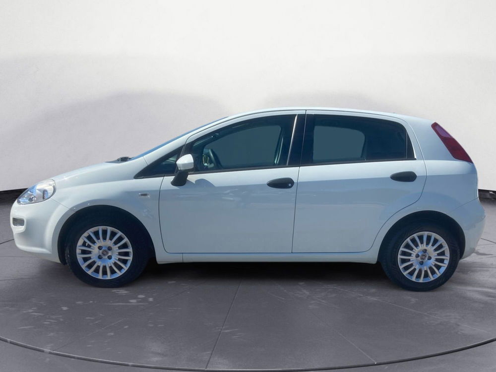 Fiat Punto usata a Pordenone (2)