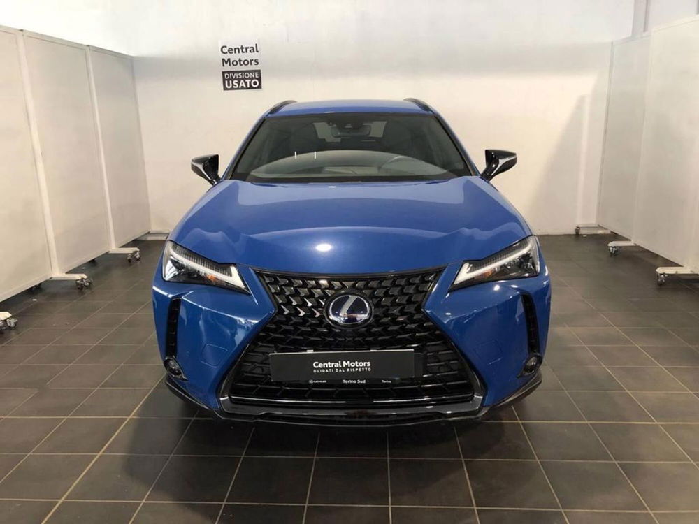 Lexus UX usata a Torino (2)