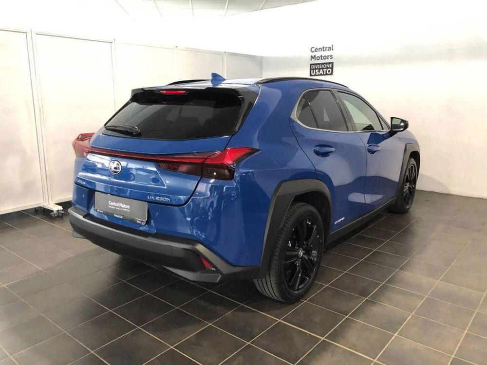 Lexus UX usata a Torino (4)