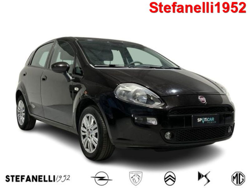 Fiat Punto 1.2 8V 5 porte Street  del 2013 usata a Bologna