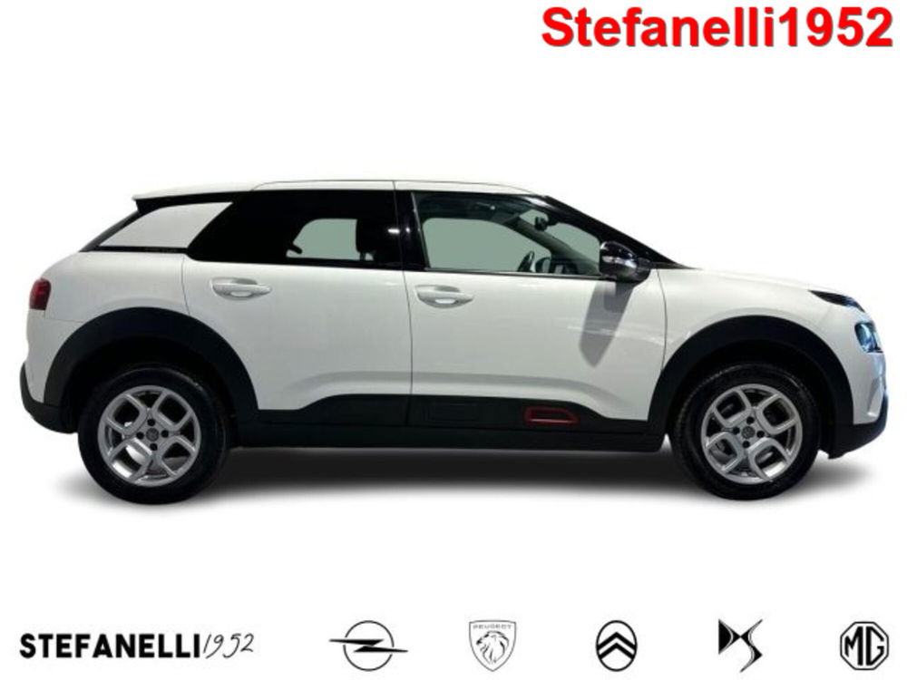 Citroen C4 Cactus usata a Bologna (3)