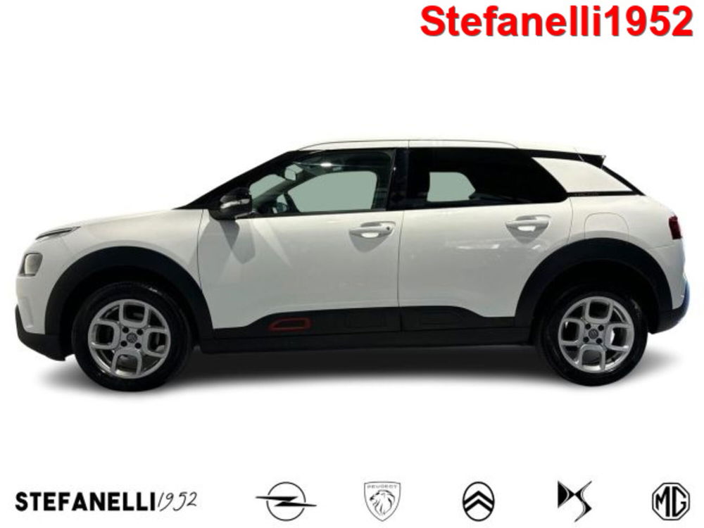 Citroen C4 Cactus usata a Bologna (4)