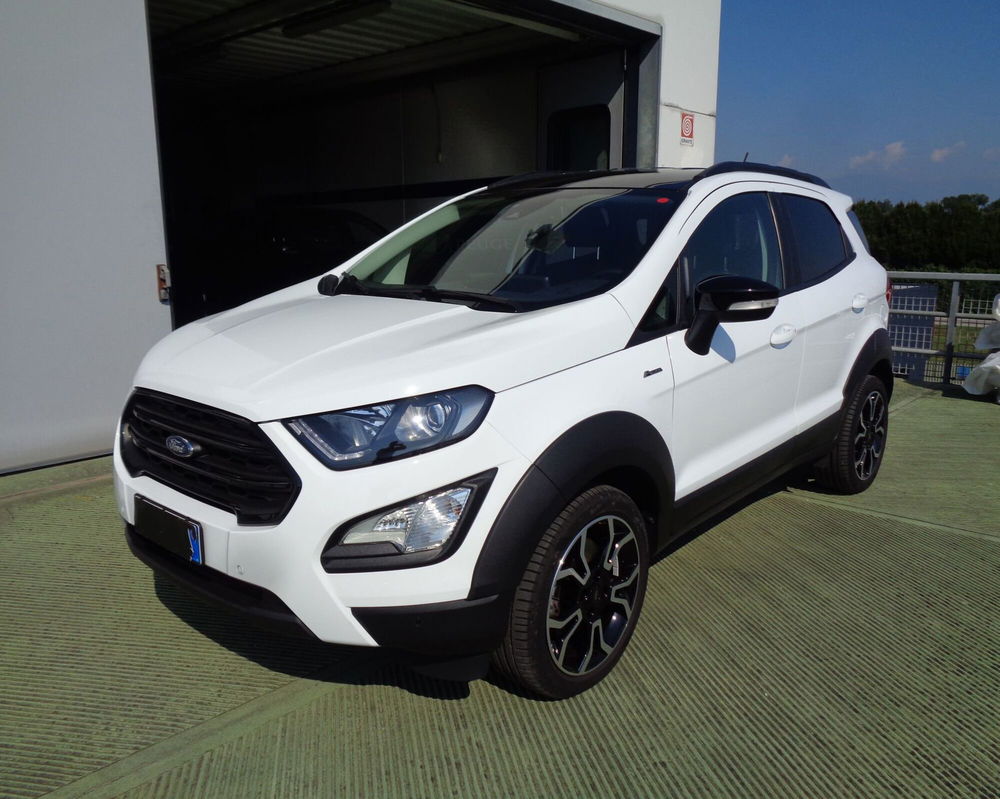 Ford EcoSport usata a Treviso