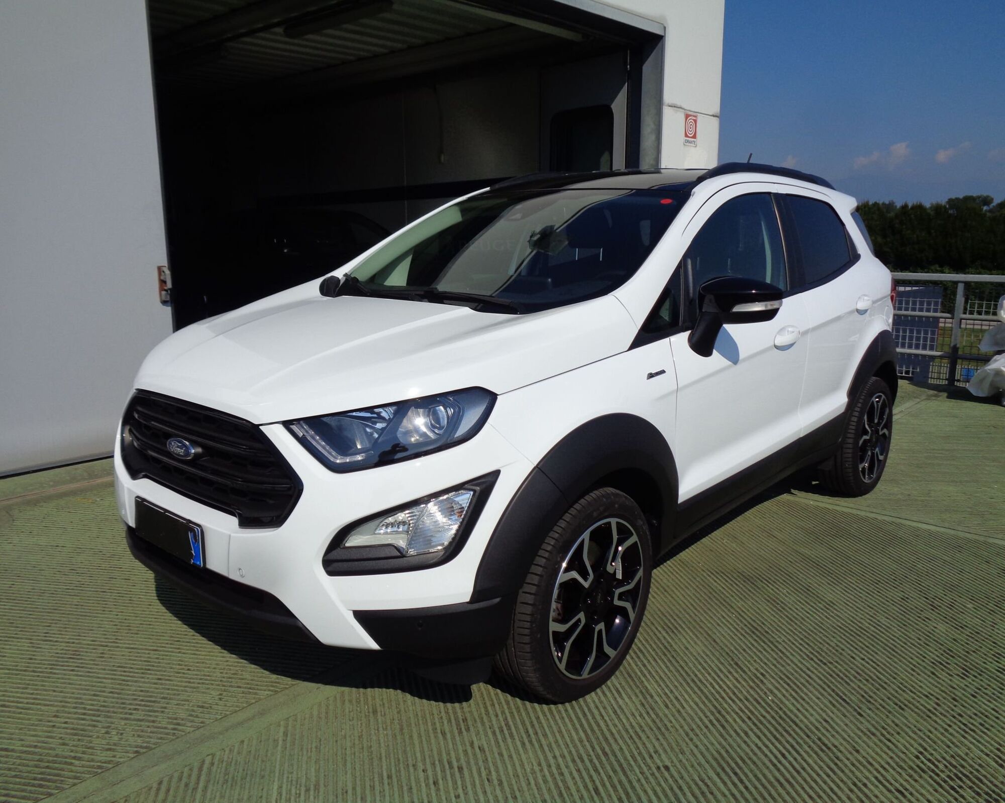 Ford EcoSport 1.0 EcoBoost 125 CV Start&amp;Stop Active del 2021 usata a Castelfranco Veneto