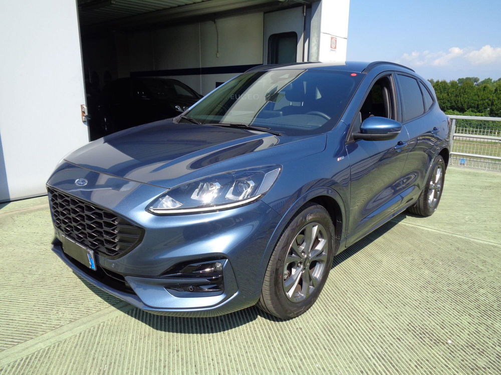 Ford Kuga usata a Treviso