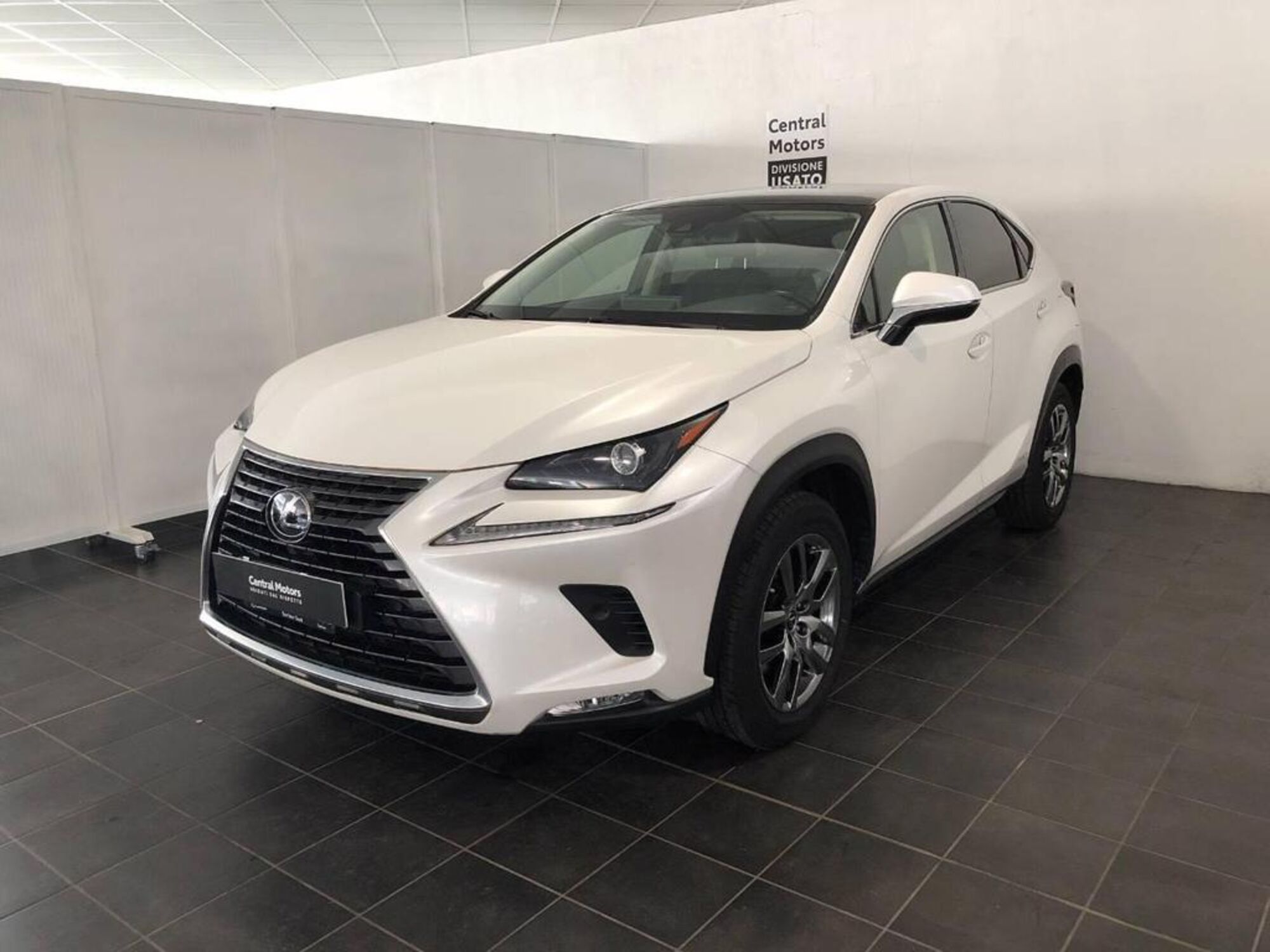 Lexus NX Hybrid 4WD Premium  del 2020 usata a Torino