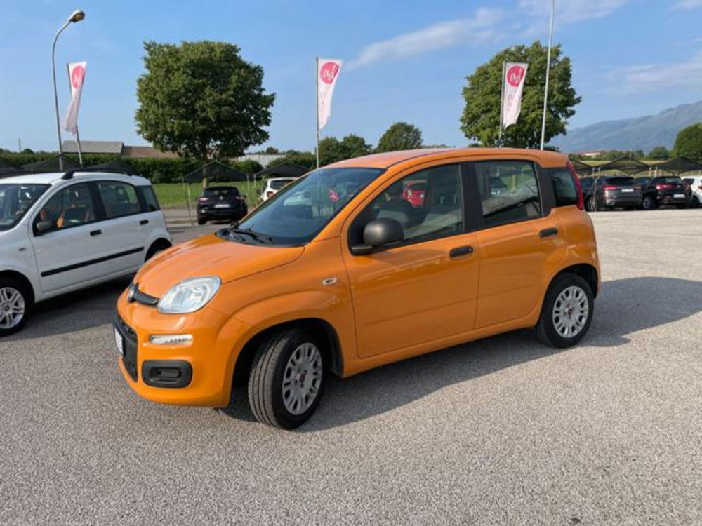 Fiat Panda usata a Pordenone (2)