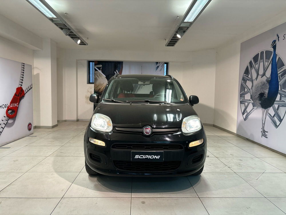 Fiat Panda usata a L'Aquila (11)