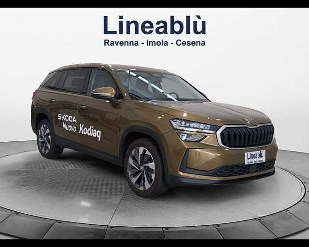 Skoda Kodiaq usata a Ravenna (7)