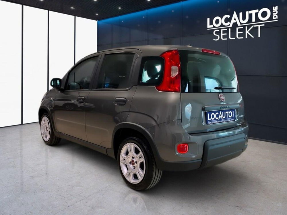 Fiat Panda Cross nuova a Torino (5)