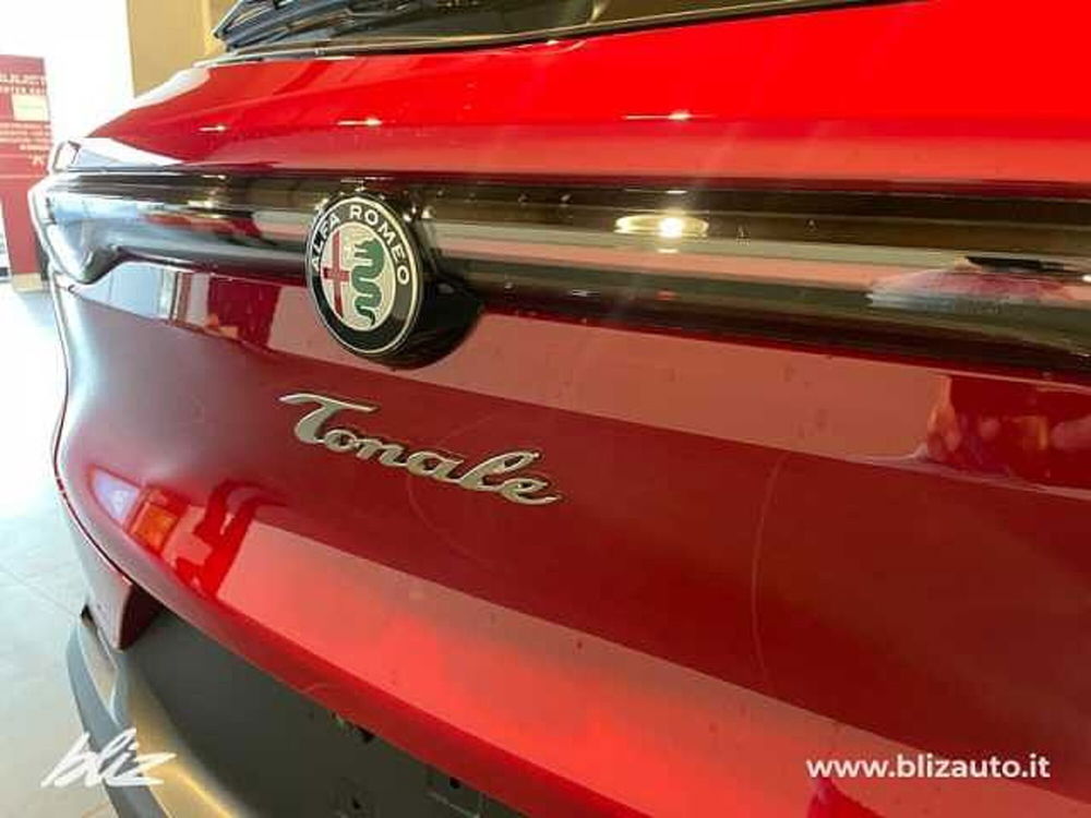 Alfa Romeo Tonale usata a Udine (8)