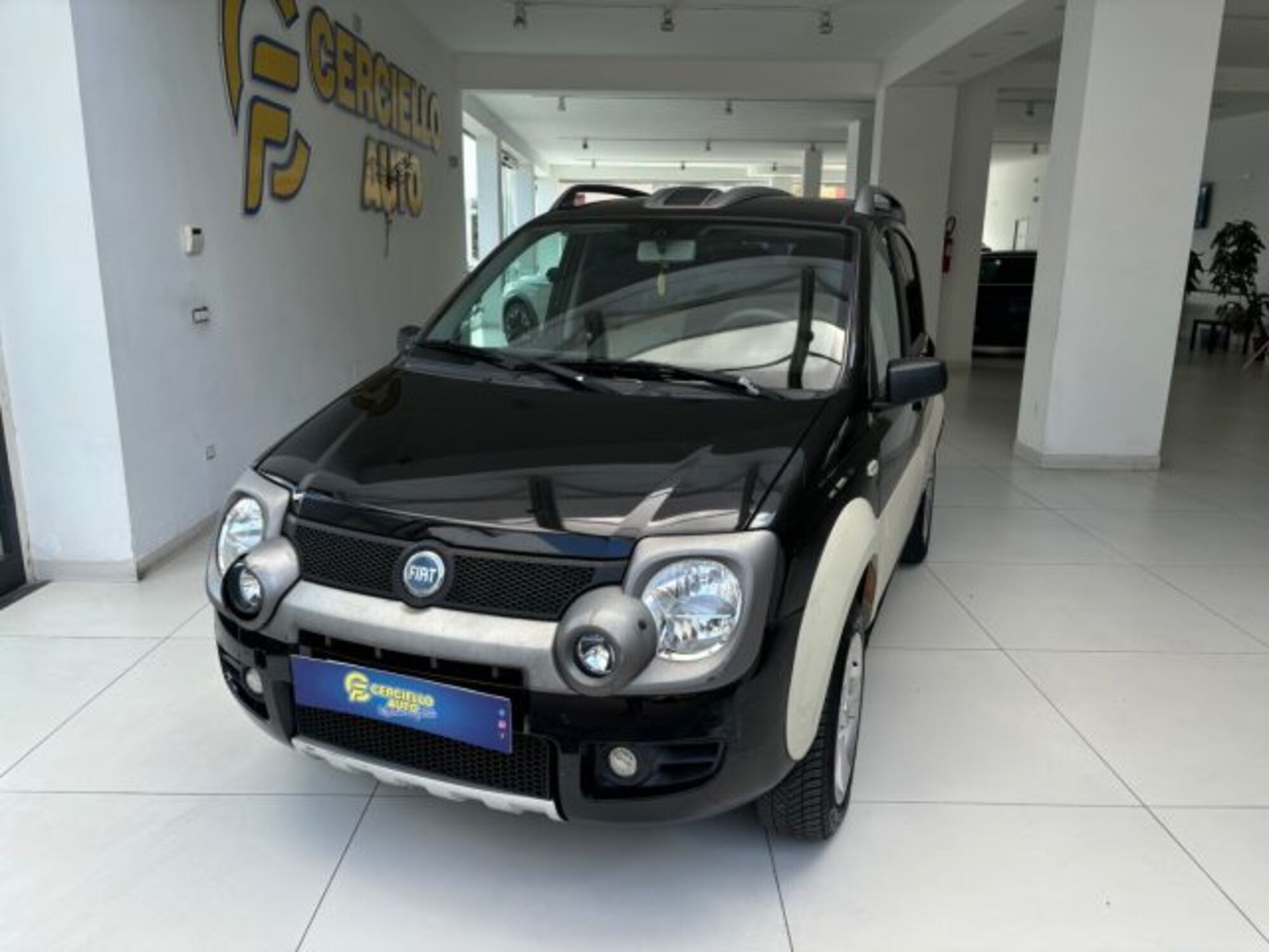 Fiat Panda 1.3 MJT 16V 4x4 Cross  del 2007 usata a Somma Vesuviana