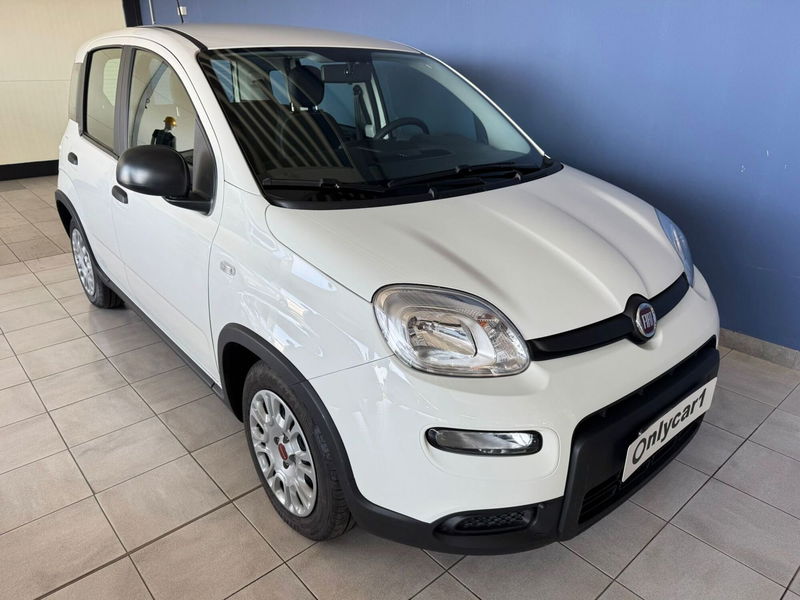 Fiat Panda Cross Cross 1.0 FireFly S&amp;S Hybrid  del 2023 usata a Ferrara