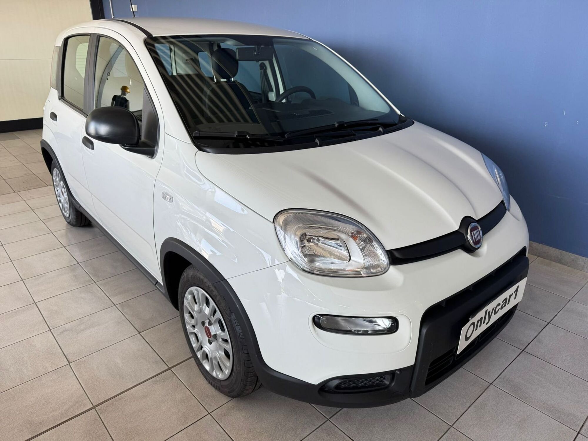 Fiat Panda 1.0 FireFly S&amp;S Hybrid City Cross  del 2023 usata a Ferrara