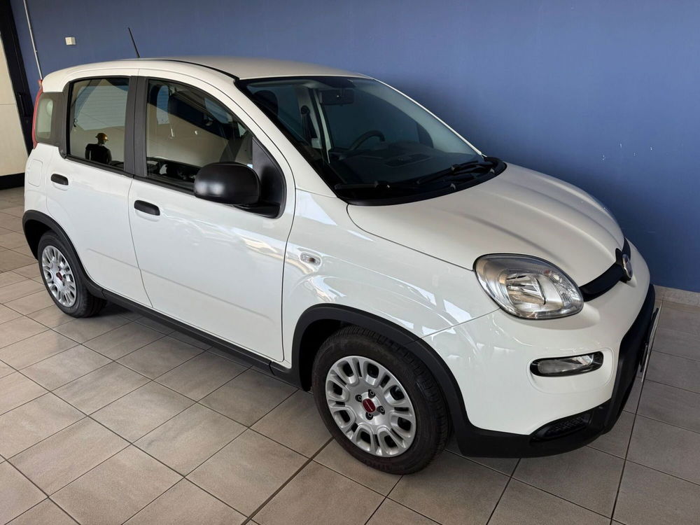 Fiat Panda Cross usata a Ferrara (2)