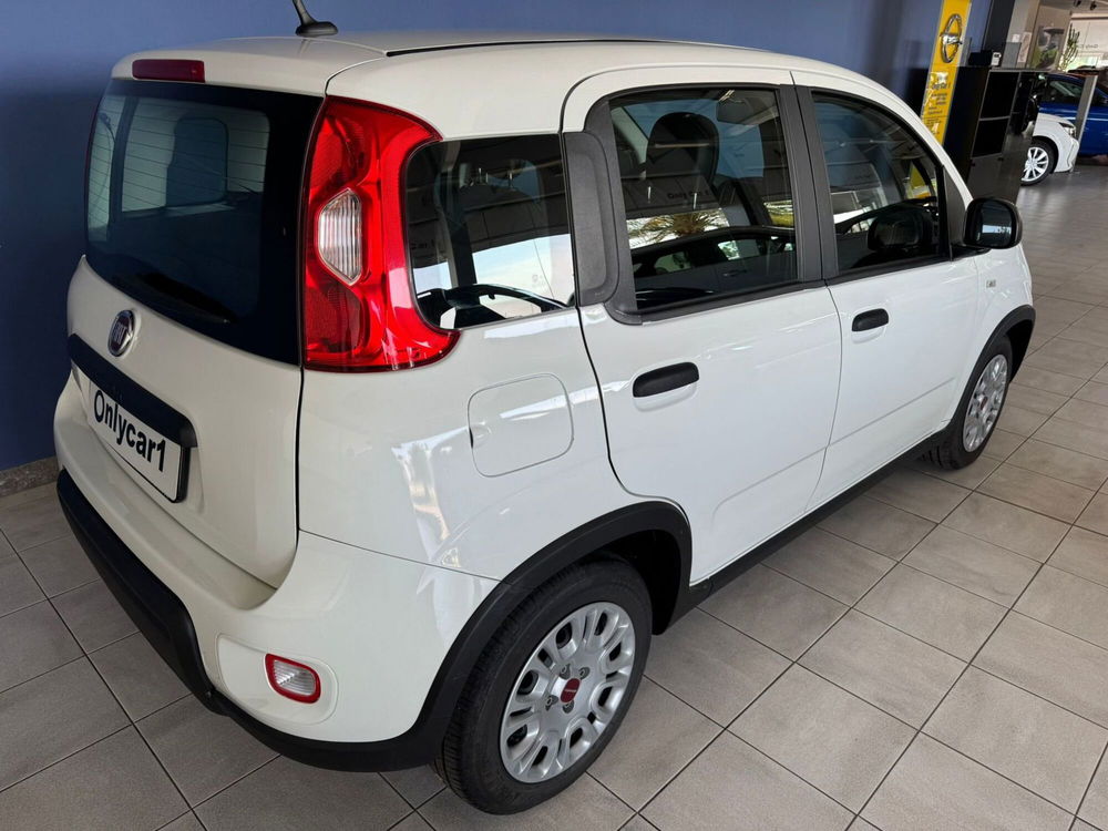 Fiat Panda Cross usata a Ferrara (4)