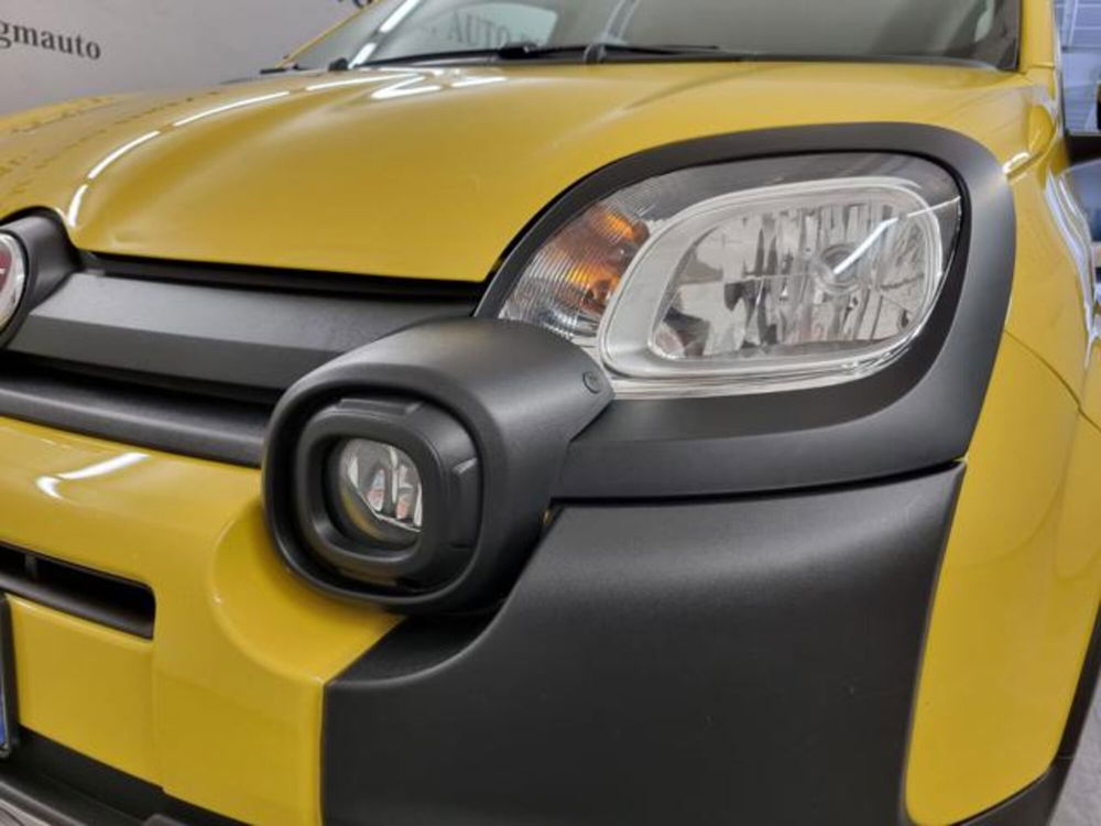 Fiat Panda Cross usata a Como (12)