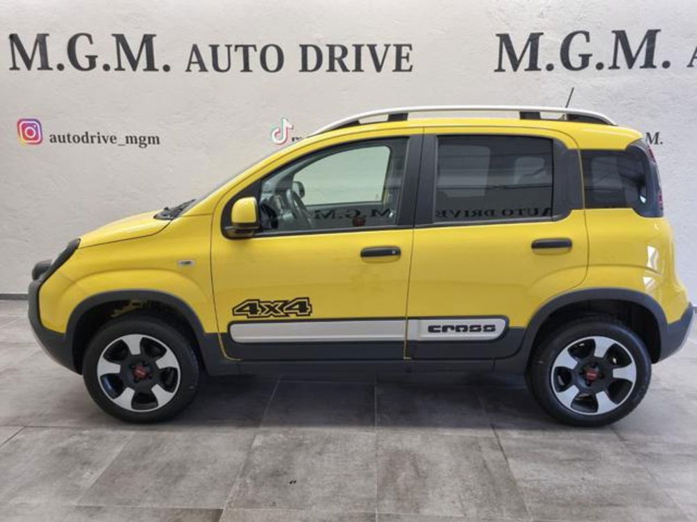 Fiat Panda Cross usata a Como (2)