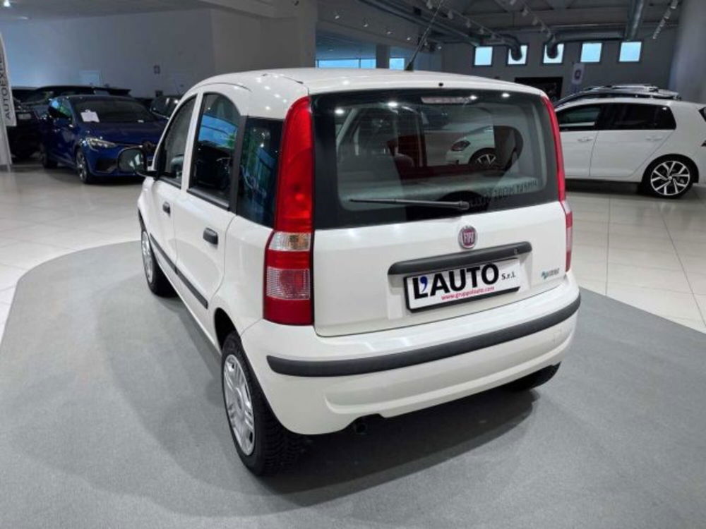 Fiat Panda usata a Sondrio (3)