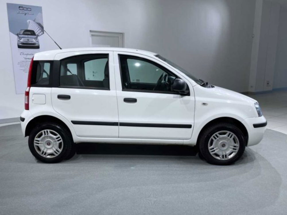 Fiat Panda usata a Sondrio (6)