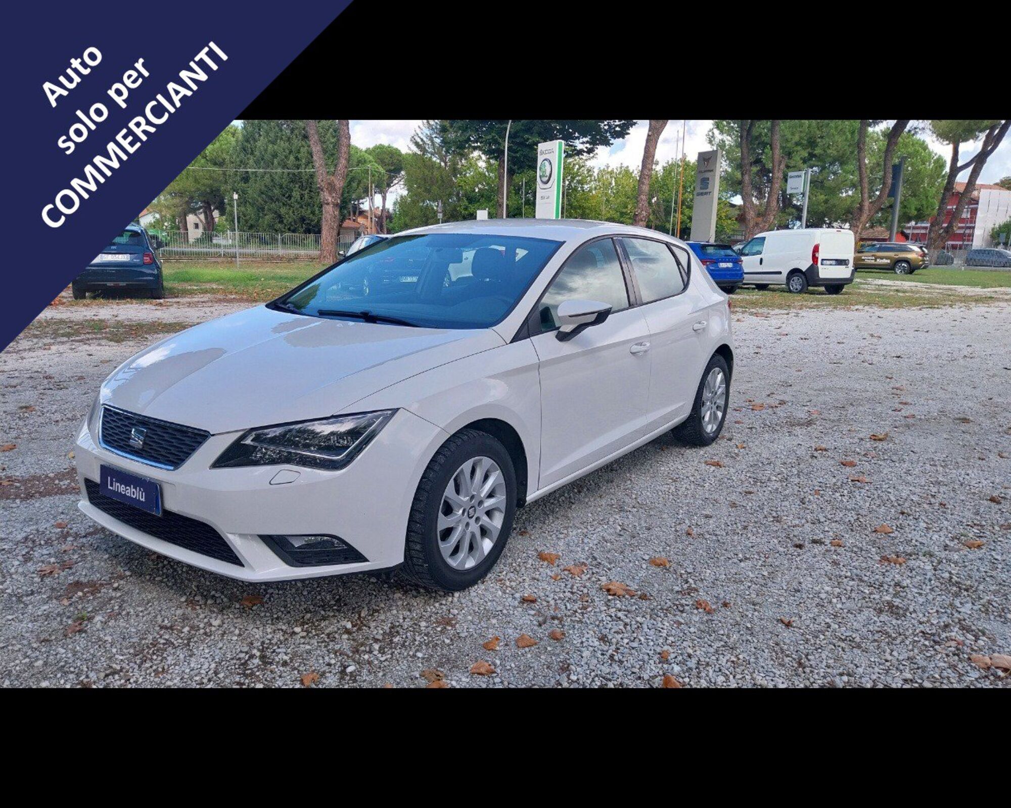 SEAT Leon 1.6 TDI 105 CV 5p. Style  del 2013 usata a Cesena