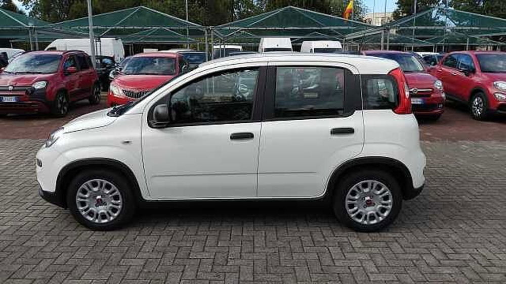 Fiat Panda nuova a Milano (2)