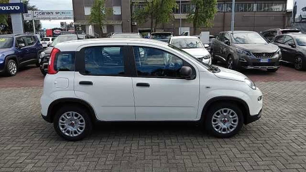 Fiat Panda nuova a Milano (6)