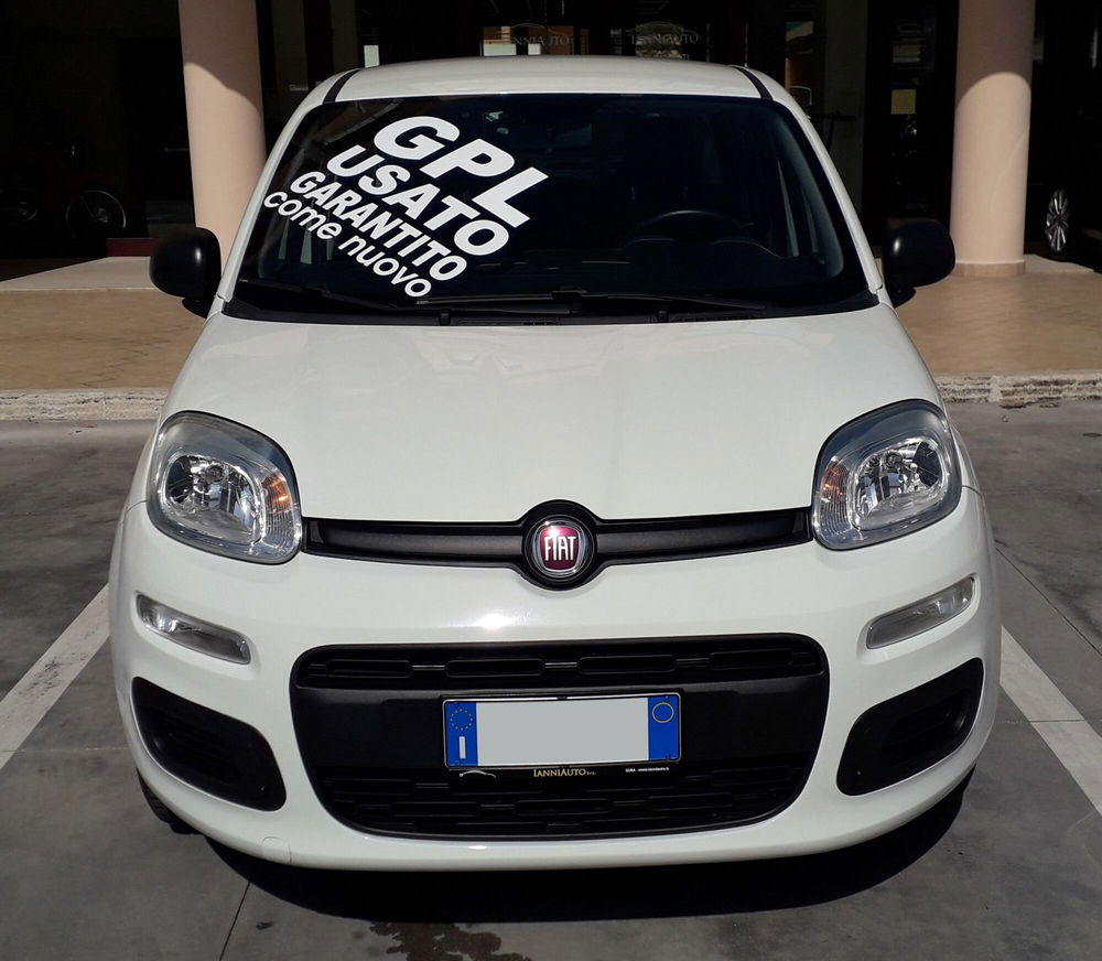 Fiat Panda usata a Frosinone