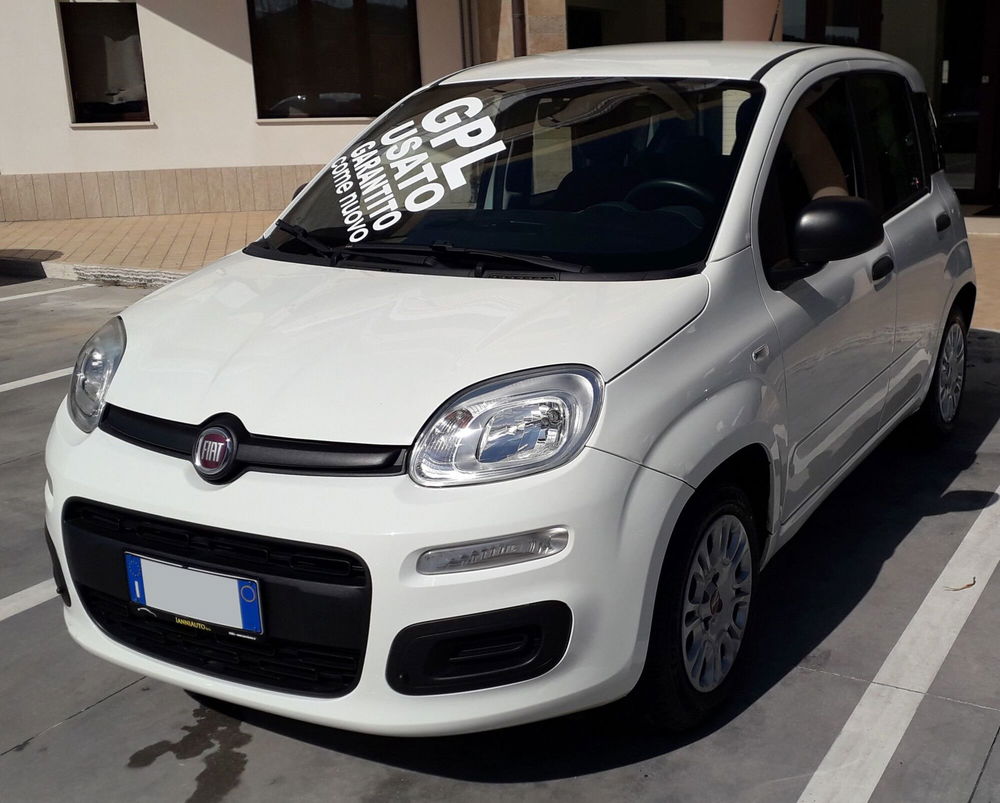 Fiat Panda usata a Frosinone (2)