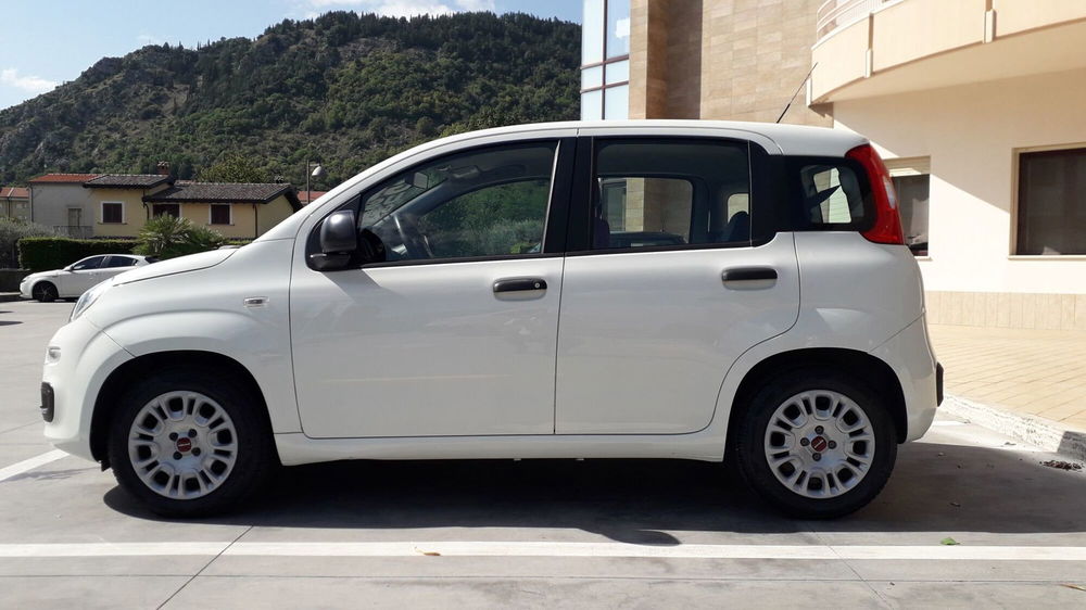 Fiat Panda usata a Frosinone (3)