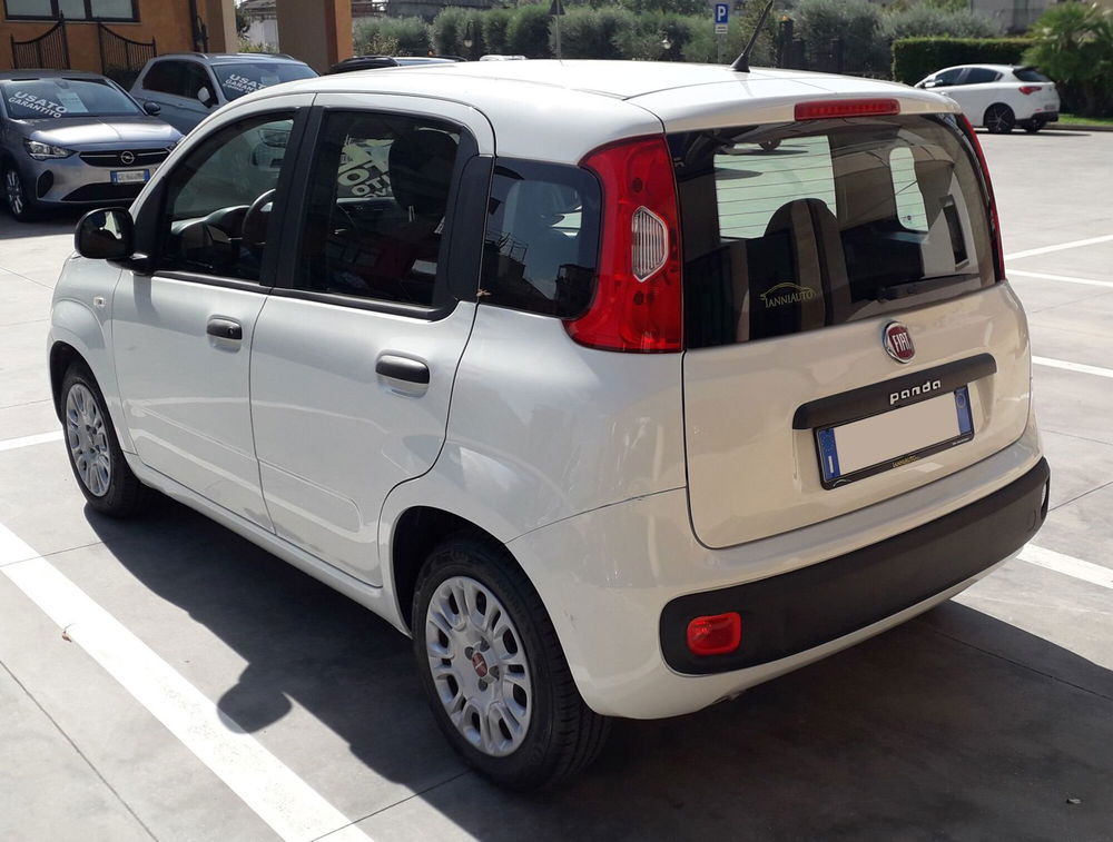 Fiat Panda usata a Frosinone (4)