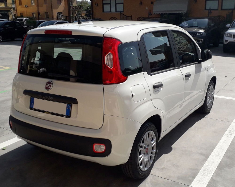 Fiat Panda usata a Frosinone (6)