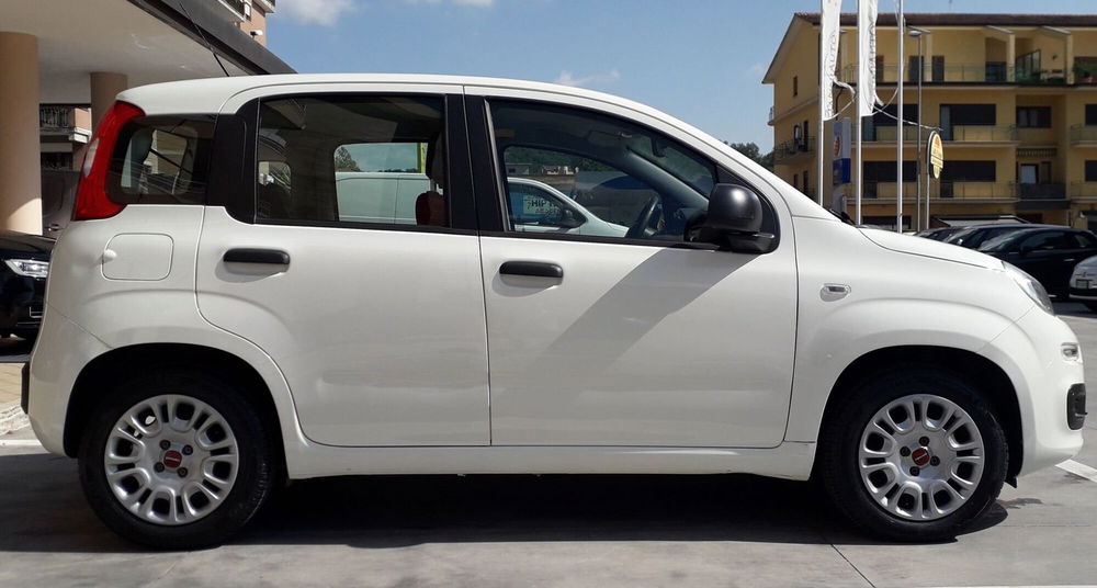 Fiat Panda usata a Frosinone (7)