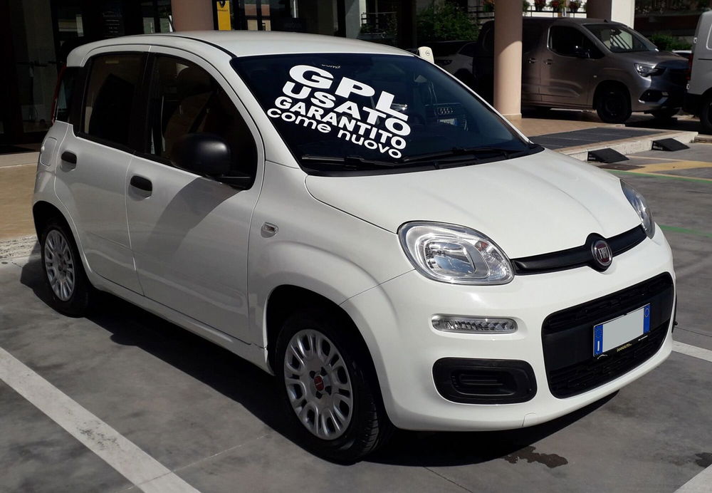 Fiat Panda usata a Frosinone (8)