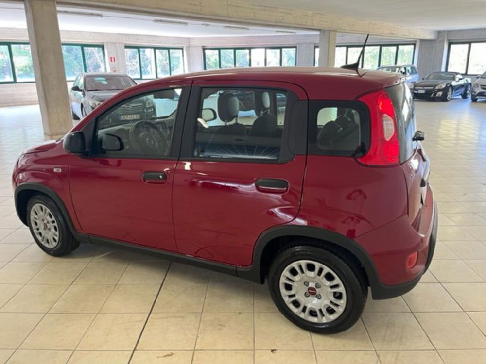 Fiat Panda nuova a Brescia (14)