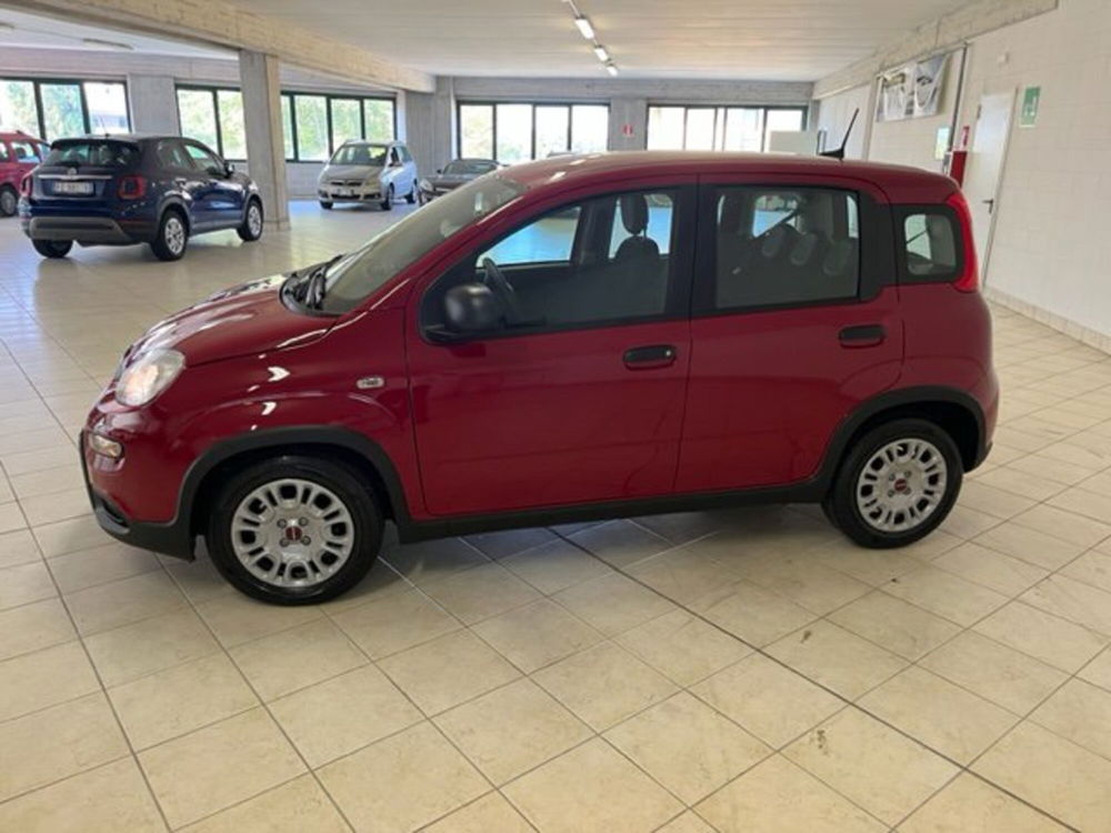 Fiat Panda nuova a Brescia (15)