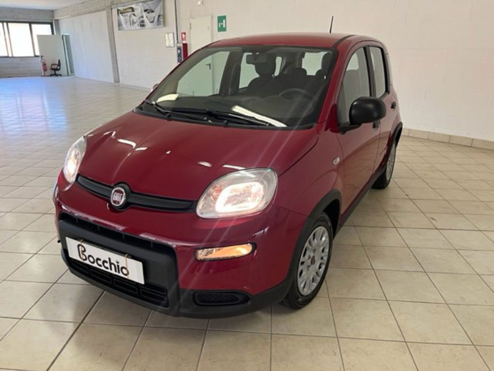 Fiat Panda nuova a Brescia (2)