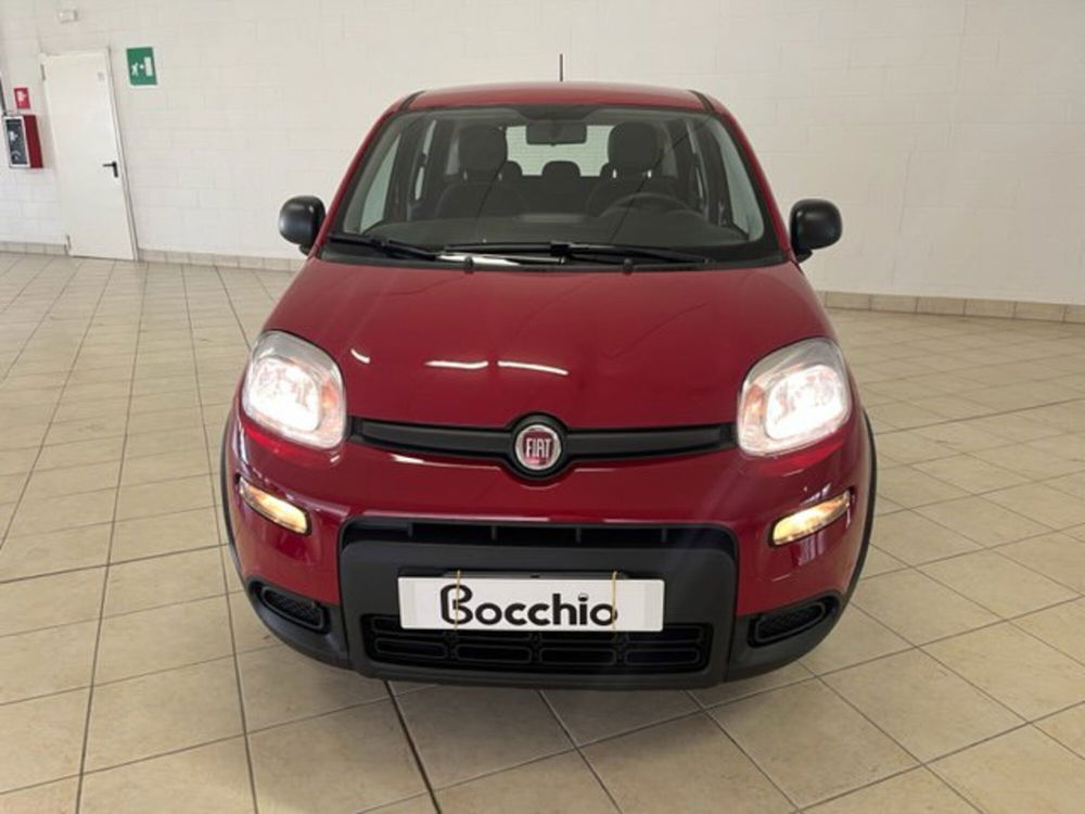 Fiat Panda nuova a Brescia (3)