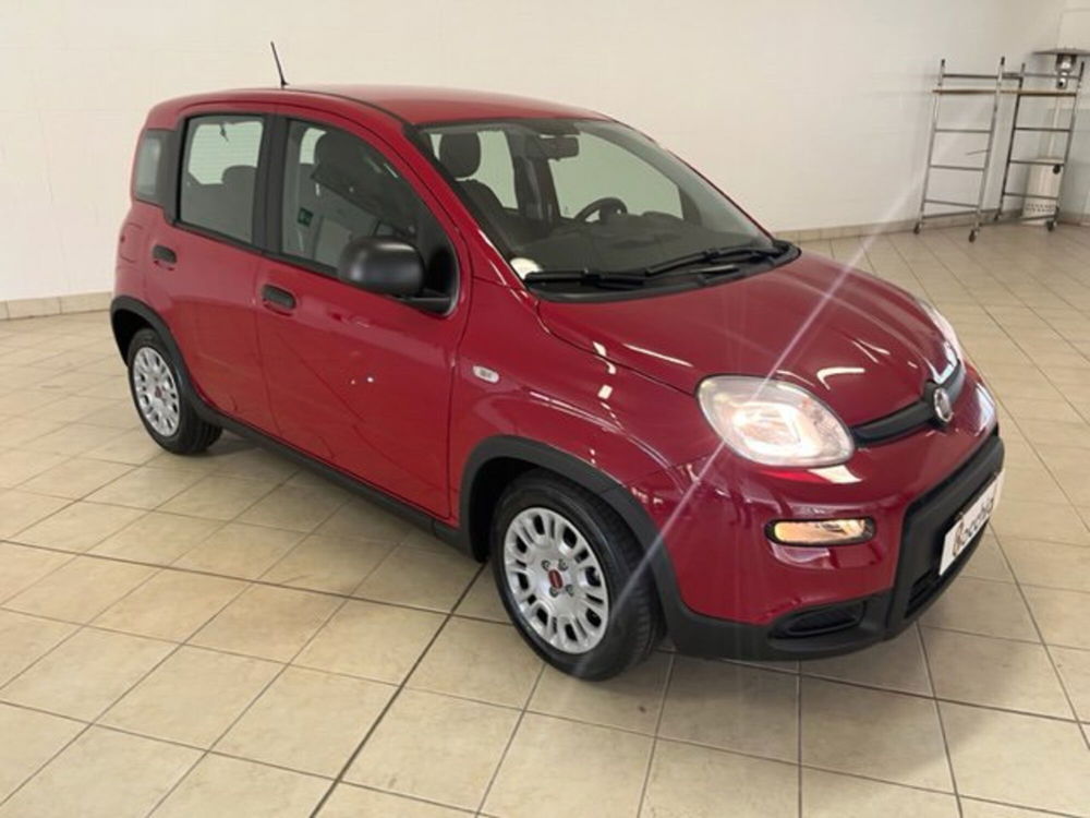 Fiat Panda Cross nuova a Brescia (4)