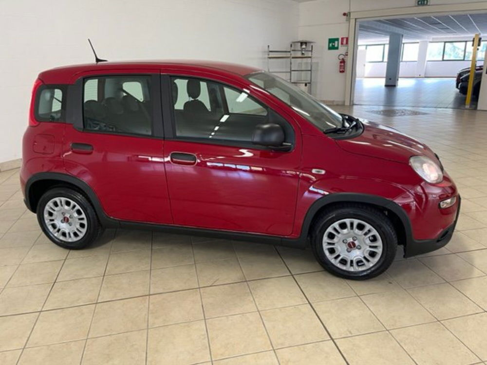 Fiat Panda nuova a Brescia (5)