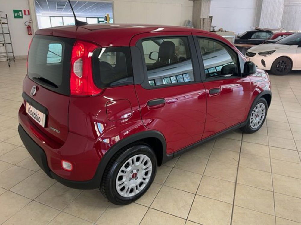 Fiat Panda Cross nuova a Brescia (6)