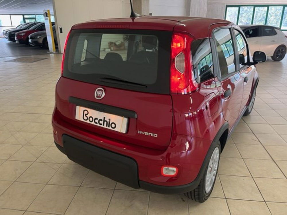 Fiat Panda nuova a Brescia (7)