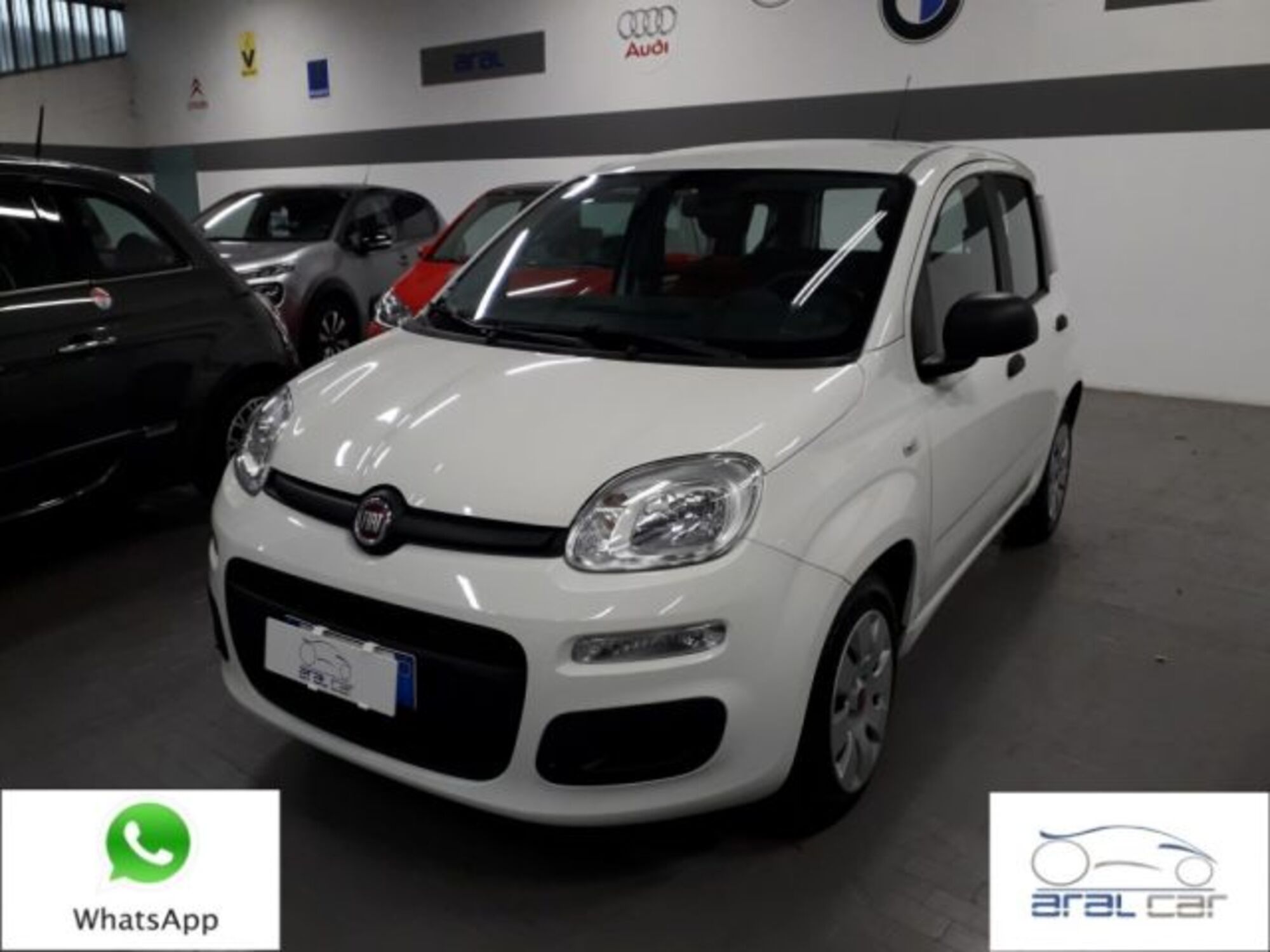 Fiat Panda 1.2 Pop  del 2019 usata a Torino