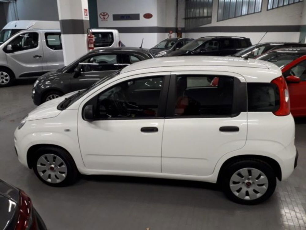 Fiat Panda usata a Torino (2)