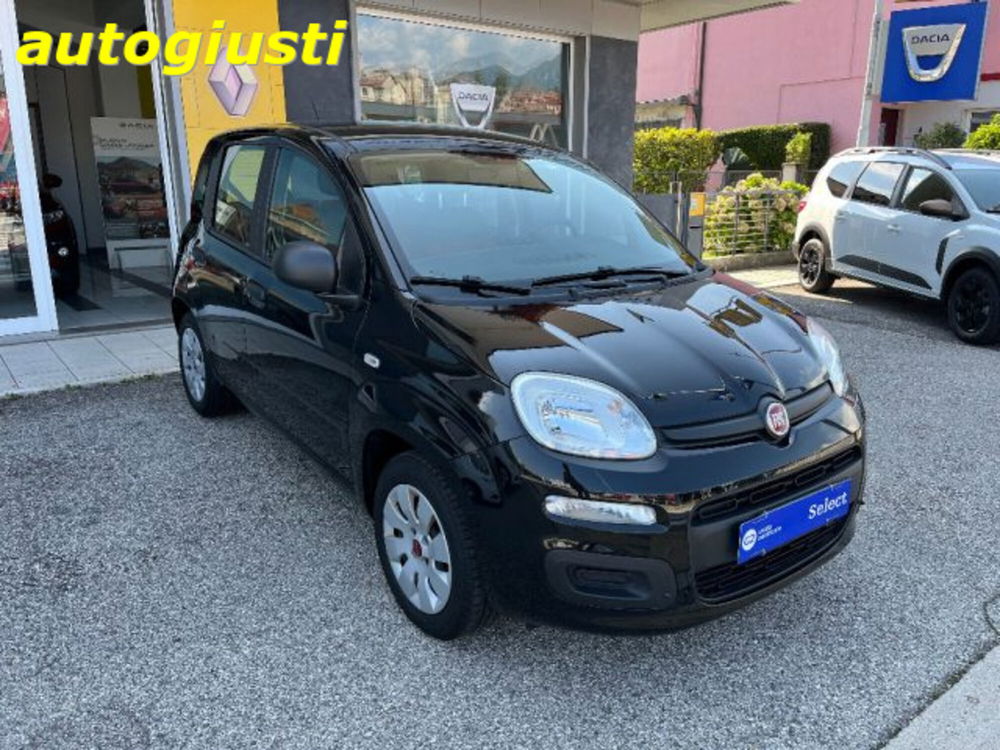 Fiat Panda usata a Belluno (2)