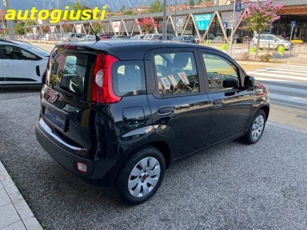 Fiat Panda usata a Belluno (3)