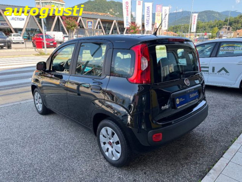 Fiat Panda usata a Belluno (4)